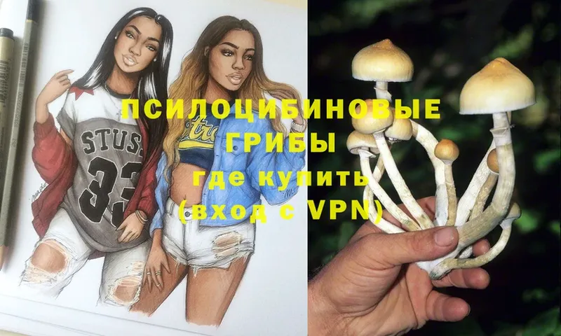 где купить наркоту  Унеча  Галлюциногенные грибы Psilocybe 